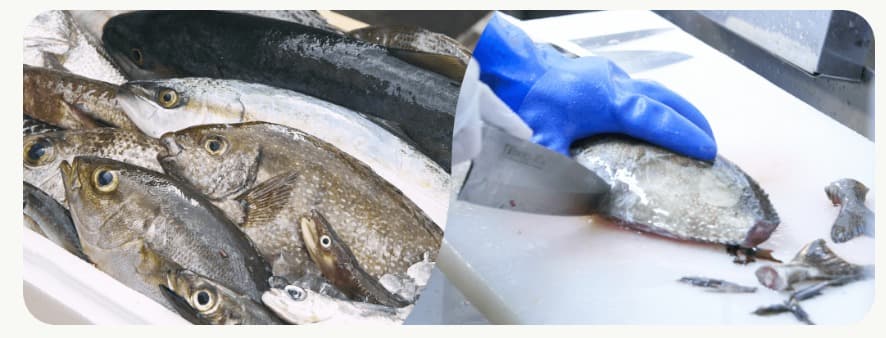 魚のサブスク Fishlle フィシュル のメリット デメリット 旬の未利用魚を月2 940円で食べよう 魚のサブスク Fishlle フィシュル のメリット デメリット 旬の未利用魚を月2 940円で食べよう
